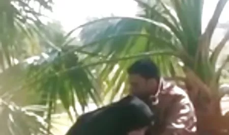 - இது திருநங்கை நிச்சயமாக எப்படி தெரியும் சவாரி watch prono சேவல்