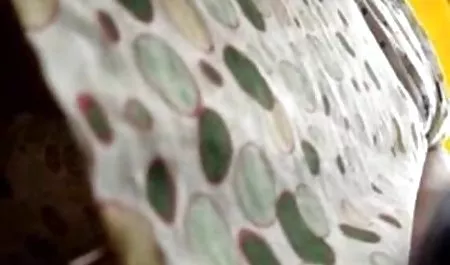வெளிப்படையான பாலை ஆபாச காமிக்ஸ் இலவசமாக