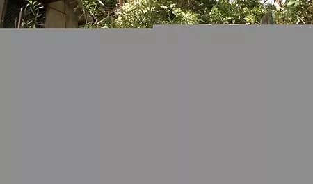 ஆலிஸ் - வீங்கிய ஆபாச திரைப்படங்கள் முலைக்காம்புகளை