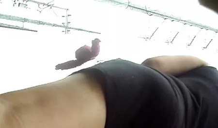 ஆமாம், நான் நீங்கள் செய்ய முடியும் படகோட்டி நொடிகளில் Joi erotika 2019